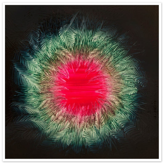 Limbus